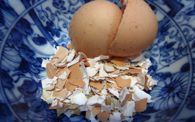Skorupki kurzych jaj zamiast suplementu wapnia